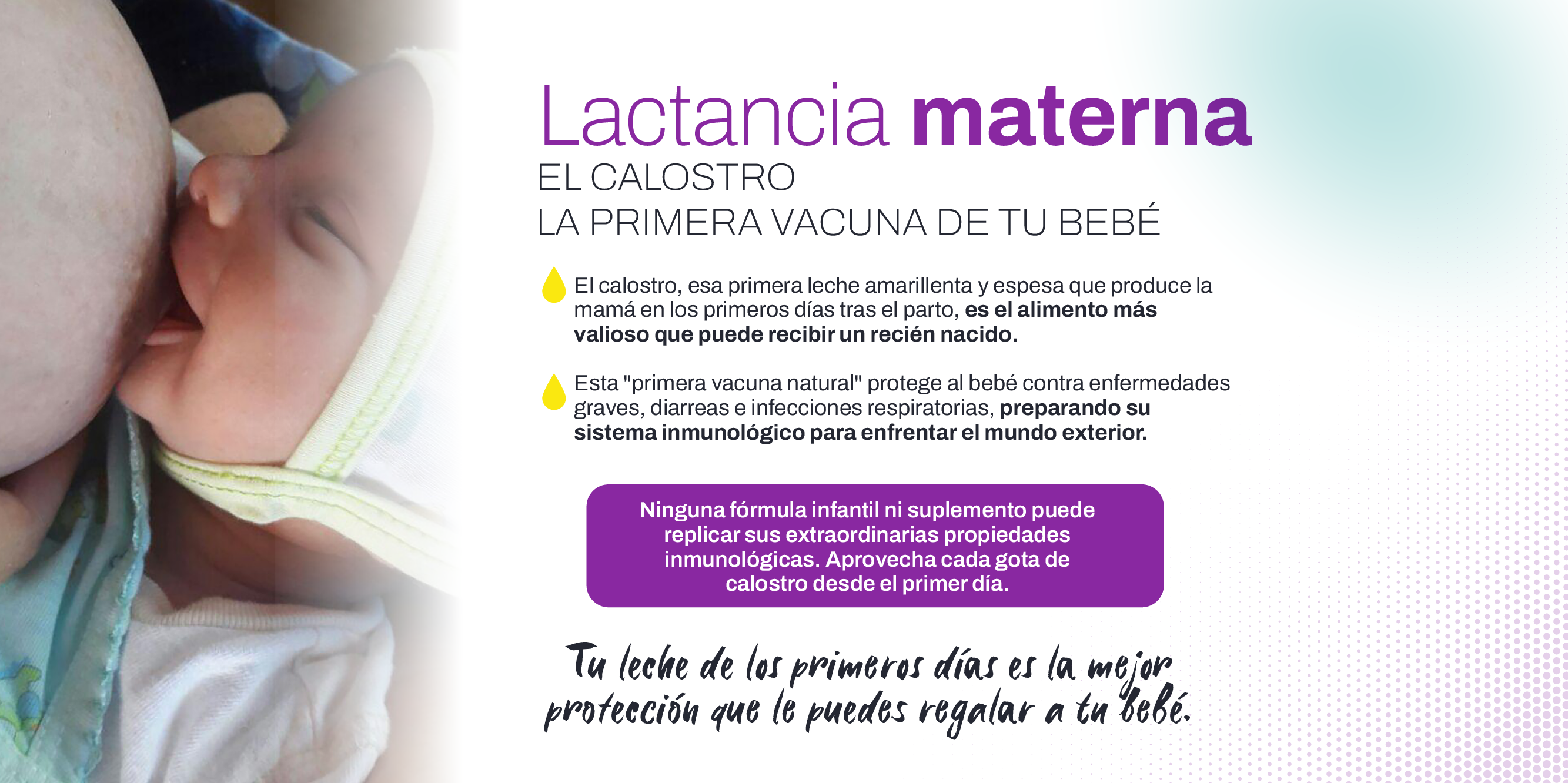 para web 3.png